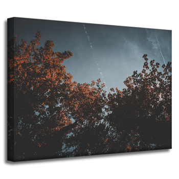 Canvas Print Nature Orange Tree Crowns 40x30 cm