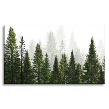 Canvas Print Rain Forest Nature Trees 90x60 cm