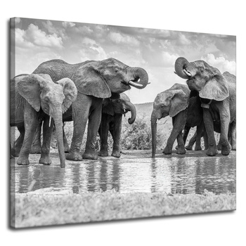 Canvas Print Elephants By The Water Gray Nature 100x80 cm
