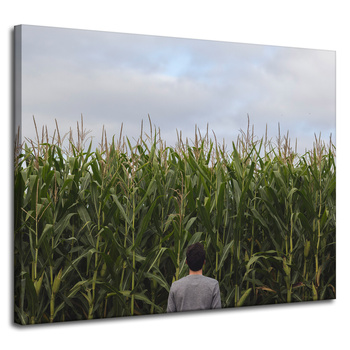 Canvas Print Nature Corn Field 100x80 cm