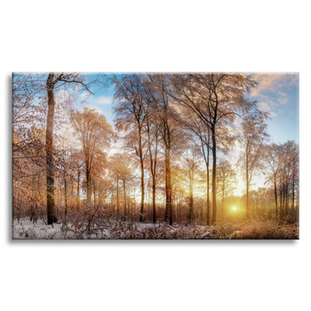 Canvas Print Trees Winter Rising Sun 120x80 cm