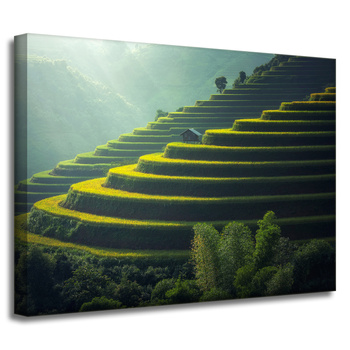 Canvas Print Nature Landscape Agriculture 40x30 cm