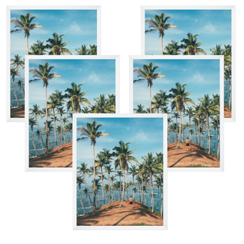 5x White Frame 40x50, I L13,15,063, Plexiglass