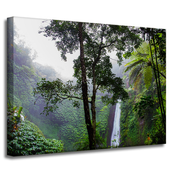 Canvas Print Nature Tropical Forest 40x30 cm