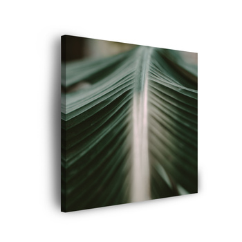 Canvas Print Nature Palm Leaf 90x90