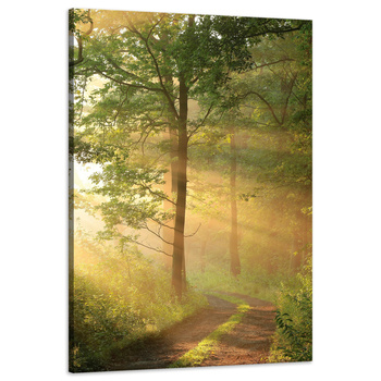 Canvas Print Sunlight Forest Path Nature 60x90 cm