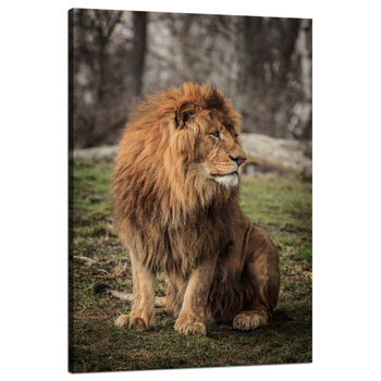Canvas Print Posing Lion in the Background of Nature 80x120 cm
