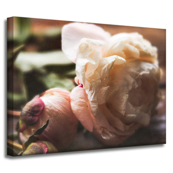 Canvas Print Botany Peony 40x30 cm