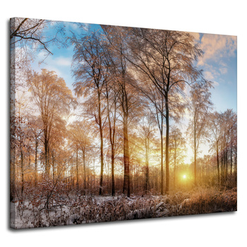 Canvas Print Trees Winter Rising Sun 100x80 cm