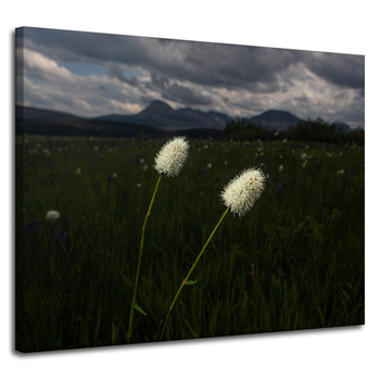 Canvas Print Nature Wildflowers 100x80 cm