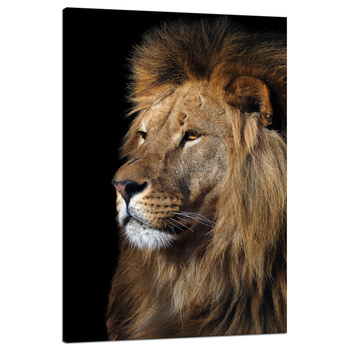 Canvas Print Terrible Majestic Lion Animal 80x120 cm