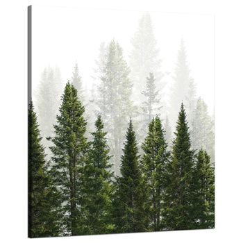 Canvas Print Rain Forest Nature Trees 80x100 cm