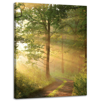 Canvas Print Sunlight Forest Path Nature 30x40 cm