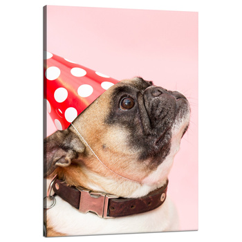 Canvas Print Youth Birthday Pug 80x120