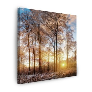Canvas Print Trees Winter Rising Sun 90X90 cm