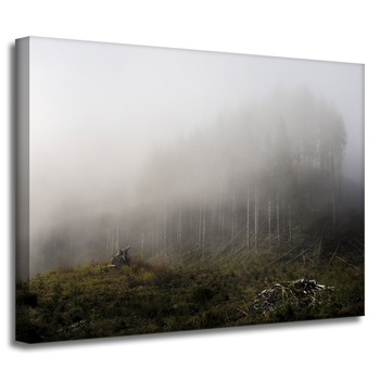 Canvas Print Nature Fog_2 40x30 cm