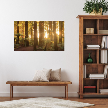 Canvas Print Sun Rays Forest Trees 120x70 cm