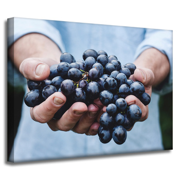 Canvas Print Kitchen Bunch of Grapes 40x30 cm