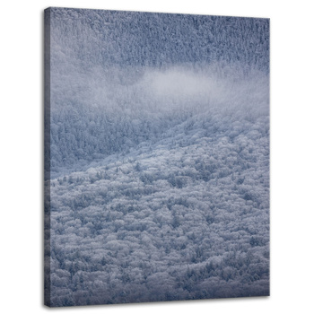 Canvas Print Nature Snowy Forest 30x40 cm