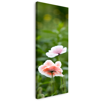 Canvas Print Botany Poppy Flowers 40x120 cm