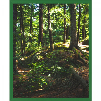 Photo frame 40x50 cm green - photo frame