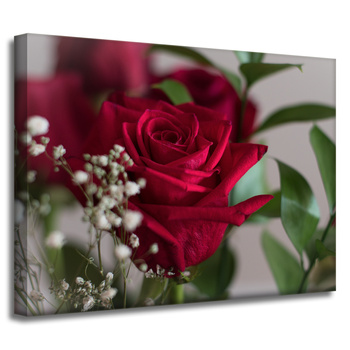 Canvas Print Botanical Red Roses 40x30 cm