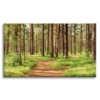 Canvas Print Path in the Forest Trees Nature 120x80 cm