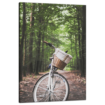 Canvas Print Youth Bike in the Forest 80x120