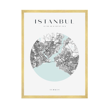 Poster Istanbul city map circle 40X50 cm + gold frame