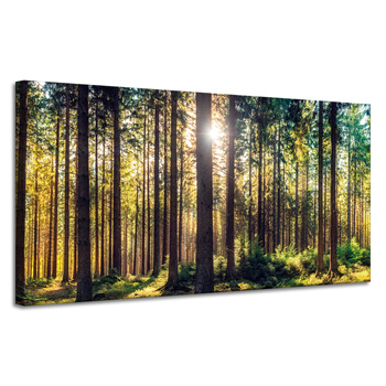 Canvas Print Forest Sun Trees Spring Morning 120x60 cm