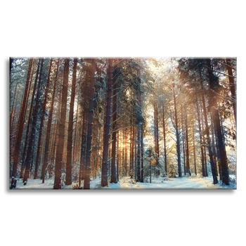 Canvas Print Forest Winter Snow White Nature 120x80 cm