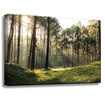 Canvas Print Forest Trees Sun Nature 60x40 cm