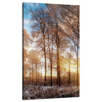 Canvas Print Trees Winter Rising Sun 70x120 cm