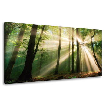 Canvas Print Sun in the Forest Trees Nature 80x40 cm
