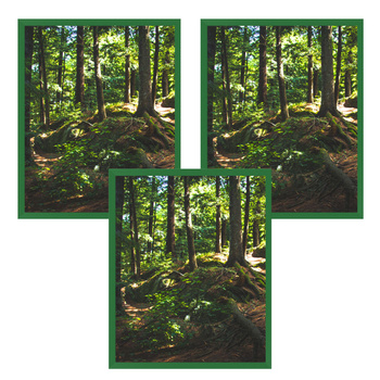 3x Green Frame 40x50, I L13,15,025, Plexiglass