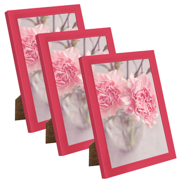 3x Amaranth Photo Frame 13x18, I L13,15,056, amaranth plexiglass