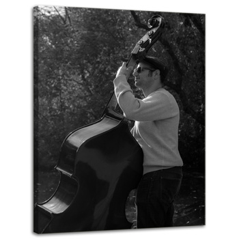 Canvas Print Music Musician Double Bass 30x40 cm