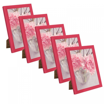 SET Frame amaranth for photos 18x24 - 5 pcs