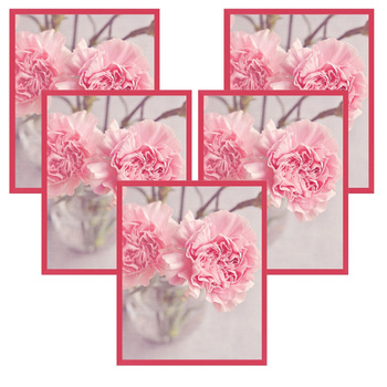 5x Amarant frame 24x30, I L13,15,056, Plexiglass