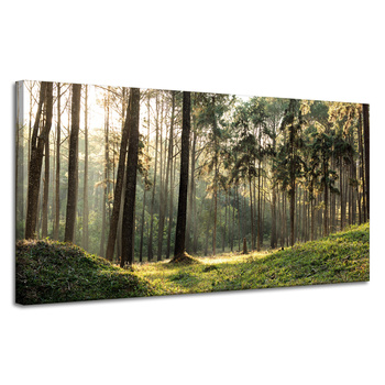 Canvas Print Forest Trees Sun Nature 120x60 cm