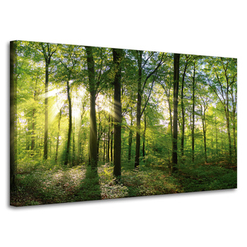 Canvas Print Sun Forest Trees Rays of Light 100x60 cm