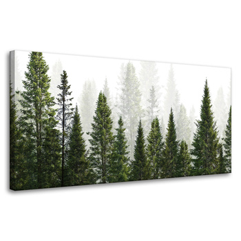 Canvas Print Rain Forest Nature Trees 80x40 cm