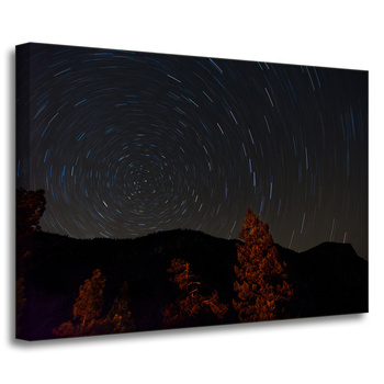 Canvas Print Nature Forest Night Mountains Abstract Trees 70x50
