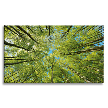 Canvas Print Leaves Trees Green Sun Sky 120x80 cm