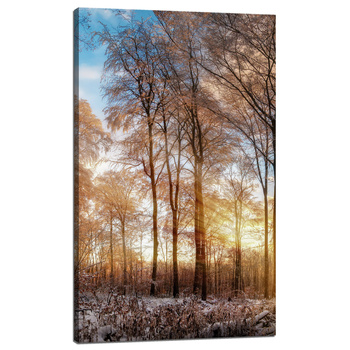 Canvas Print Trees Winter Rising Sun 60x100 cm