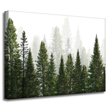 Canvas Print Rain Forest Nature Trees 40x30 cm