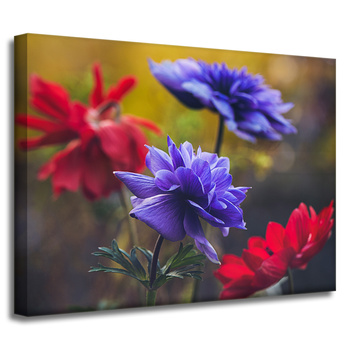 Canvas Print Botany Flowers 40x30 cm