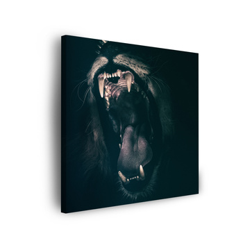 Canvas Print Animals Lion's Mouth 40x40 cm