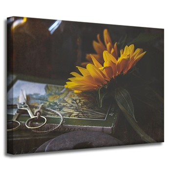 Canvas Print Botany Sunflower Book 40x30 cm