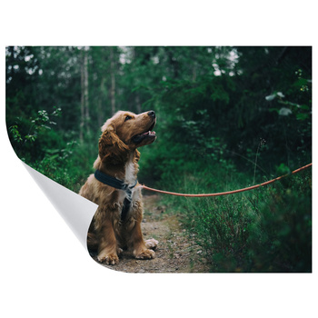 Your photo as a WIZARD poster 70x50 cm